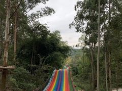 -都江堰玫瑰花溪谷