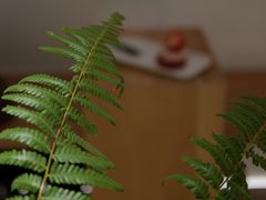 -光作面包Voila Lumiere(中山店)