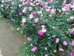 -人民公园(罗湖区)