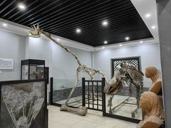-游龙石文化科普馆