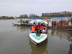 -上海长兴岛郊野公园