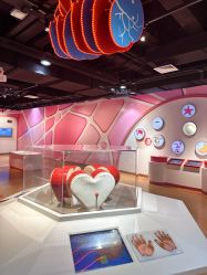 -北京科学中心儿童乐园