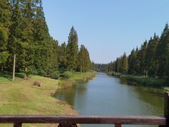 -黄海国家森林公园