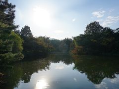 -西湖外事游船(花港观鱼码头)