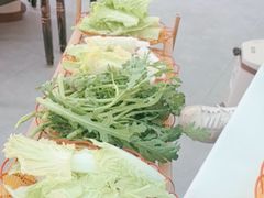 -蘑统田下·野生菌火锅