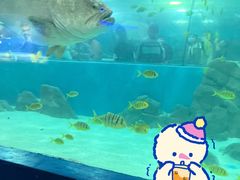 -苏州海洋馆