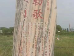 -哈素海