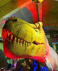 -恐龙探索乐园(磁器口店)