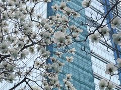 -中央公园(苏州工业园区)