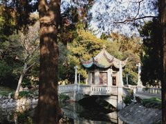-叶家花园