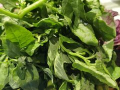 -慢丽江·云南野生菌土鸡锅(付家庄店)