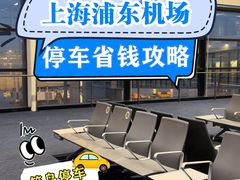 -上海浦东国际机场T1航站楼-P1停车场