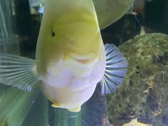 -邯郸海洋世界