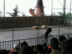-东方熊牧场