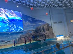 -福州罗源湾海洋世界旅游区