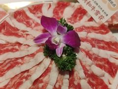 -小龙坎火锅(世纪城店)