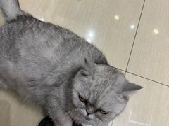 -Oasis绿洲银饰珍珠手作diy(壹方城店)