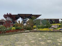 -上海长兴岛郊野公园