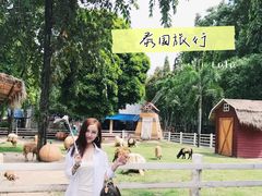-是拉差龙虎园(Permanently closed)