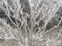 -南开大学滨海学院