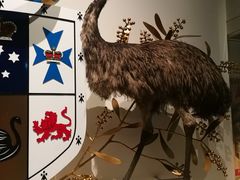 -墨尔本博物馆(Melbourne Museum)