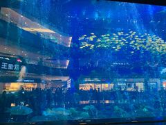 -成都浩海立方海洋公园