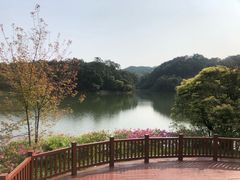 -广州市石门国家森林公园