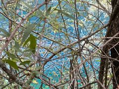 -叠溪松坪沟景区