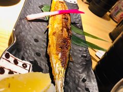 -琴寿司居酒屋(软件园店)
