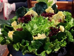 -额尔敦草原涮羊肉·烧烤(冻青树总店)
