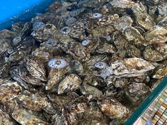 -港畔赶海蒸汽海鲜烧烤自助(仙螺岛店)