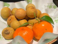 -季季山·云南野生菌火锅(上海首店)