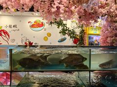 -特色酱椒鱼私房菜(黄鹤楼店)