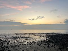 -深圳湾公园(南山区)