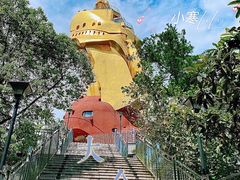 -大金鹰园