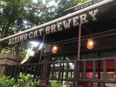 -Boxing Cat Brewery拳击猫精酿啤酒馆(永福店)