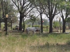 -赛汗塔拉风情园