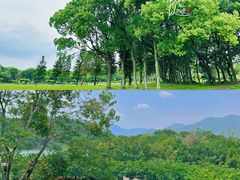 -福建鲤鱼洲酒店