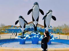 -石家庄市动物园