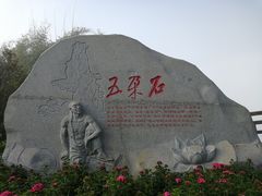 -铁山坪森林公园