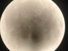 -深圳独角兽星空艺术馆