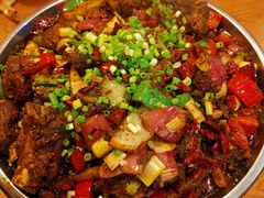 -老号尤兔头(幸福店)