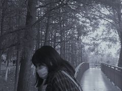 -月湖风景区