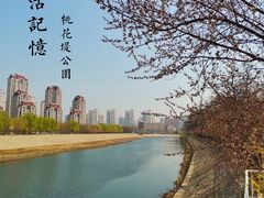 -桃花堤公园