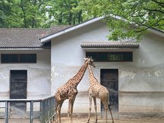 -杭州动物园