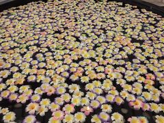 -七彩云南古滇温泉山庄