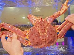 -南海渔村(珠江新城店)