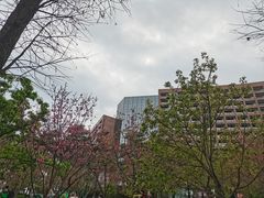 -广州汇华希尔顿逸林酒店