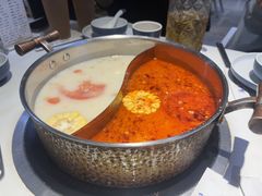 -濠七糟粕醋•海南酸汤火锅(中关村店)