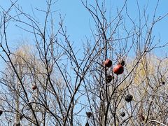 -函谷关历史文化旅游区